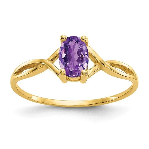 Crisp rings with modern shapes for finger chic -14K Yellow Gold Amethyst Birthstone Ring