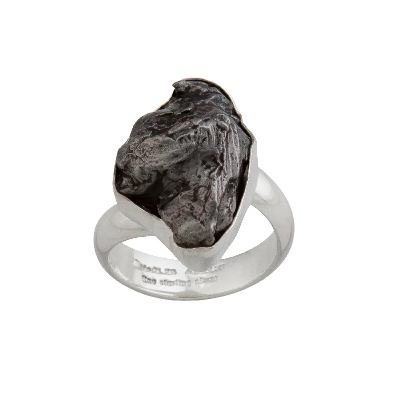 Rings with retro settings for vintage finger appeal -Sterling Silver Meteorite Adjustable Ring